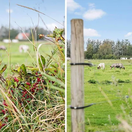 Tv1050-bindslev-falkevej-20 Ferienhaus