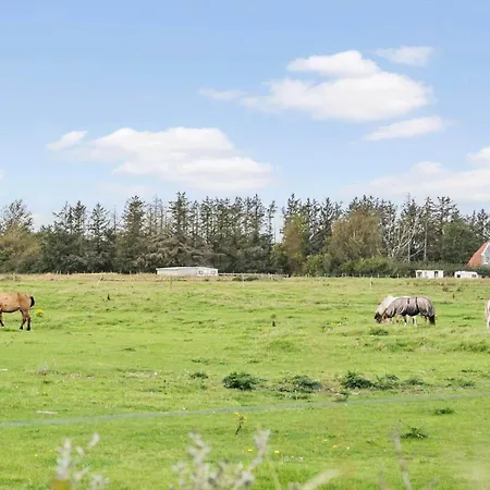 Tv1050-bindslev-falkevej-20 Ferienhaus Bindslev