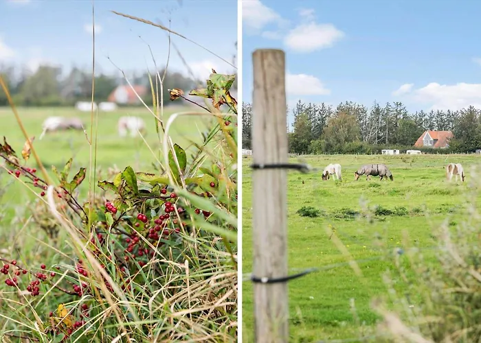 Tv1050-bindslev-falkevej-20 Semesterbostad