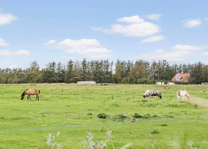 Tv1050-bindslev-falkevej-20 Semesterbostad Bindslev